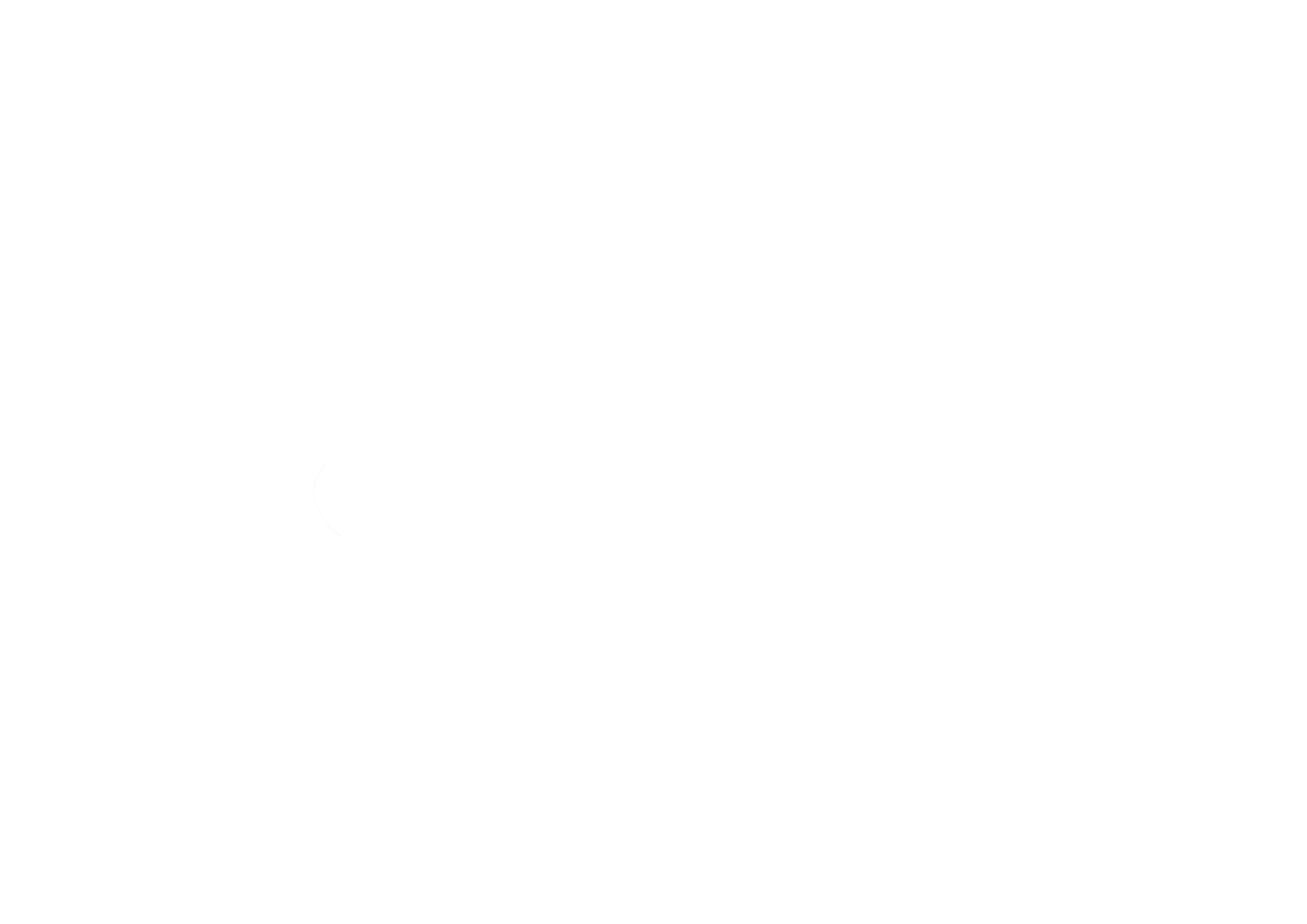 naturesatva logow
